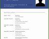 001 Lebenslauf Online Ausfüllen Und Ausdrucken Lebenslauf Muster &amp; Vorlagen Für Bewerbung 2018