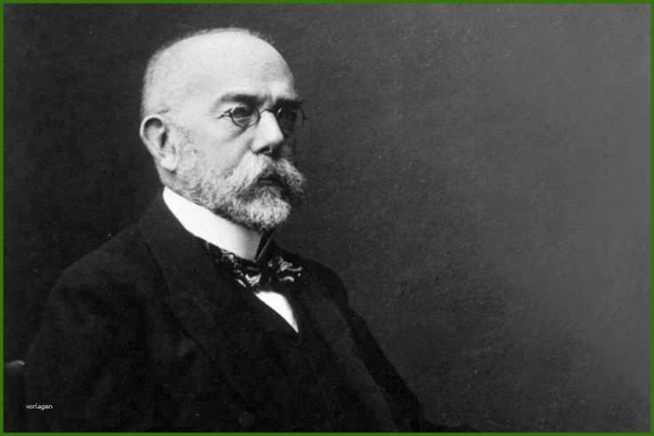 Who Is Robert Koch Postulates Discoveries Contribution Biology