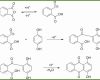 002 Dienstreiseabrechnung Vorlage Ausbeute Berechnen Chemie Quantitative Ausbeuten