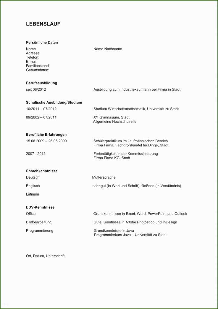 Überraschend It Kenntnisse Lebenslauf - Vorlage Ideen Für 2022