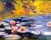004 Claude Monet Lebenslauf Kurz Kurz Maľba V štýle Impresionistov Lekná