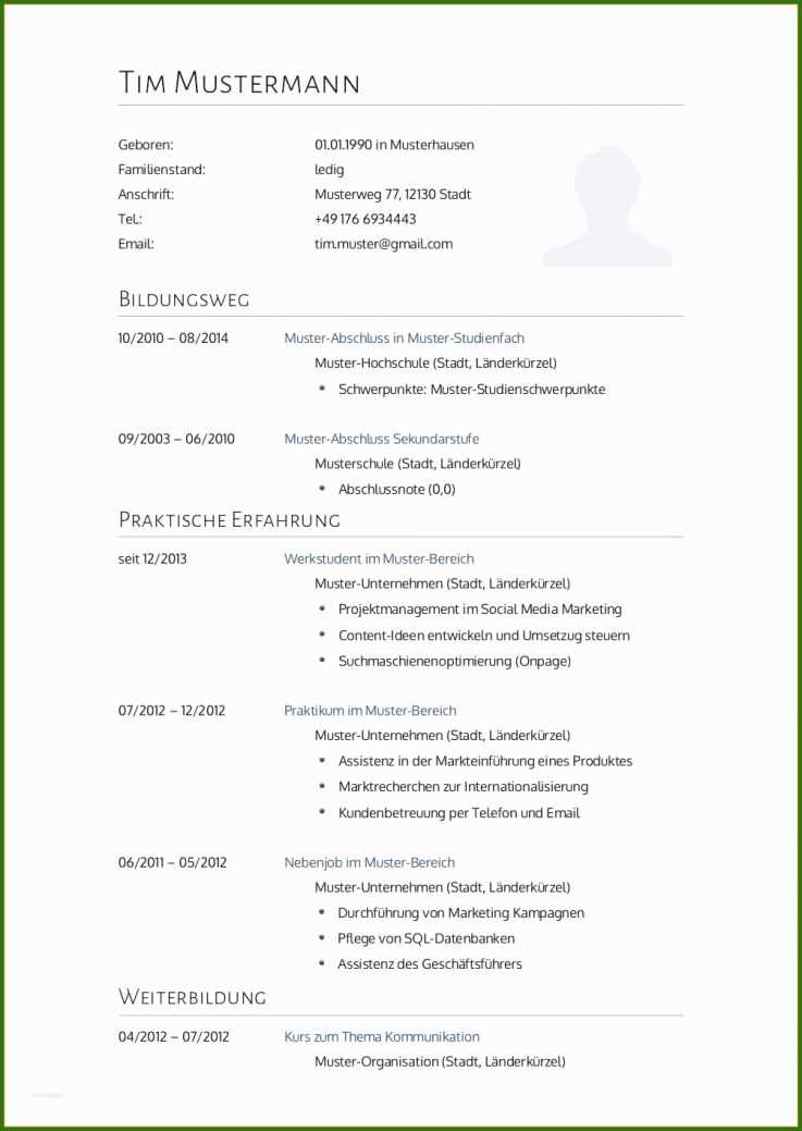 005 Lebenslauf Fachkraft Für Lagerlogistik 50 Kostenlos Webentwickler