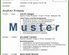 006 Muster Lebenslauf Deutsch Acquisition &amp; Consulting Services