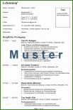006 Muster Lebenslauf Deutsch Acquisition &amp; Consulting Services