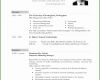 013 German Lebenslauf format German Cv Template Doc