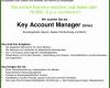 015 Lebenslauf Key Account Manager Klassik Radio Sucht Key Account Manager M W