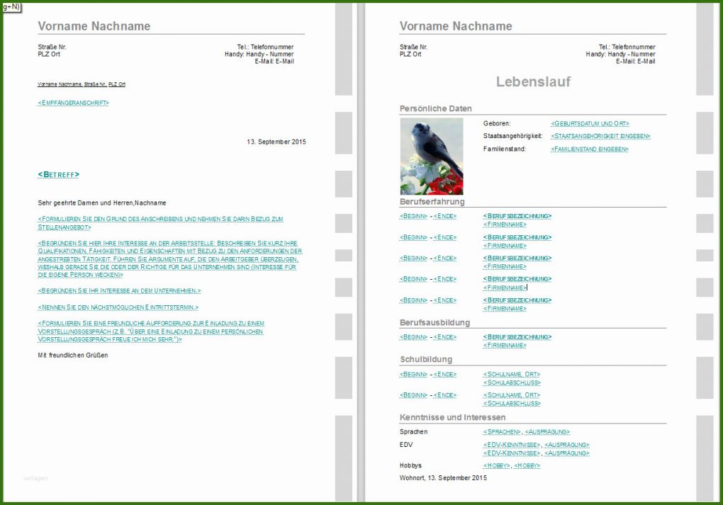 019 Lebenslauf Vorlage Libreoffice Bewerbungsvorlagen Für Libreoffice