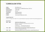 021 Englisch Lebenslauf Muster Englisch Klasse 9 Curriculum Vitae Modelo De Curriculum