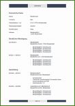 025 Standard Lebenslauf Vorlage Lebenslauf Muster &amp; Vorlagen Für Bewerbung 2019