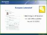 027 Lebenslauf Vorlage Europass Mobil In Europa Mit Europass Ppt Video Online Herunterladen