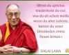 028 Dalai Lama Lebenslauf Peer Wer Fragt Der Führt
