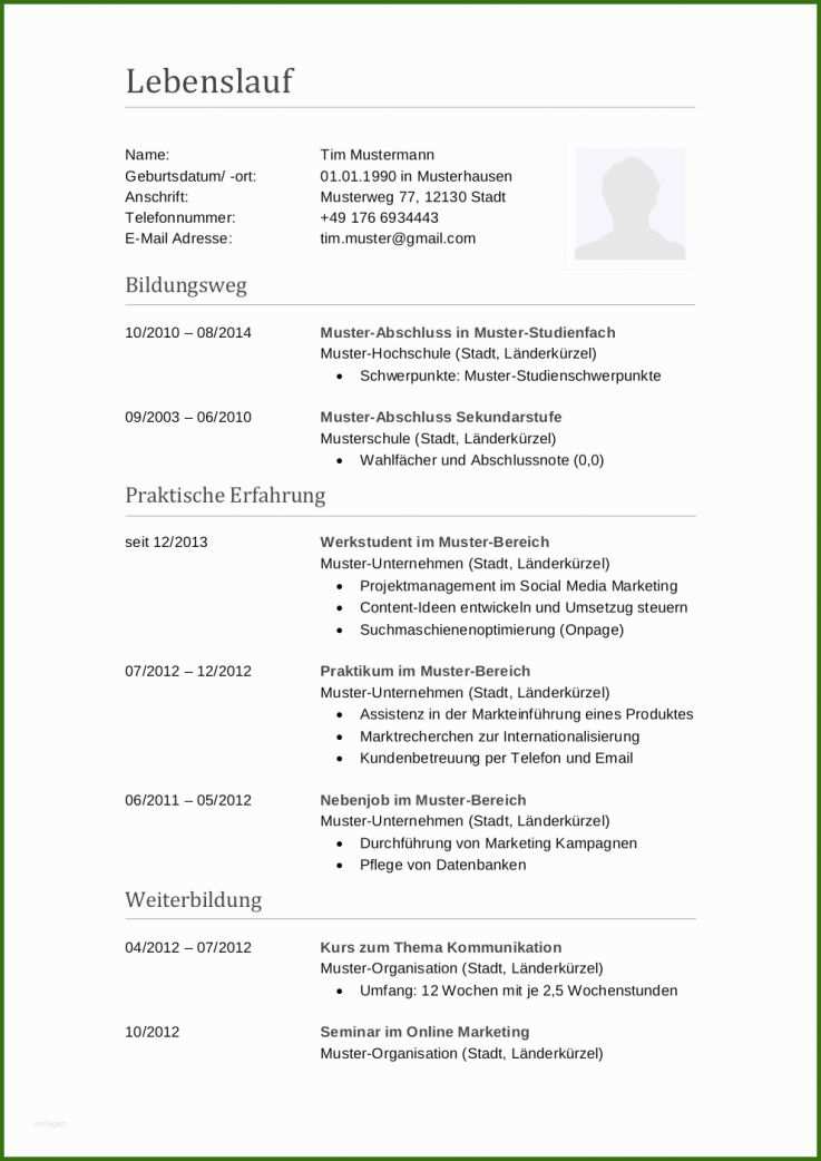 028 Lebenslauf In Tabellarischer Form Bewerbungsmuster Buchhalter