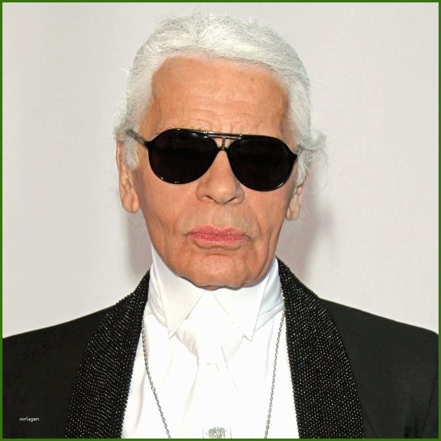 029 Karl Lagerfeld Lebenslauf Karl Lagerfeld Showcases 3d Printed