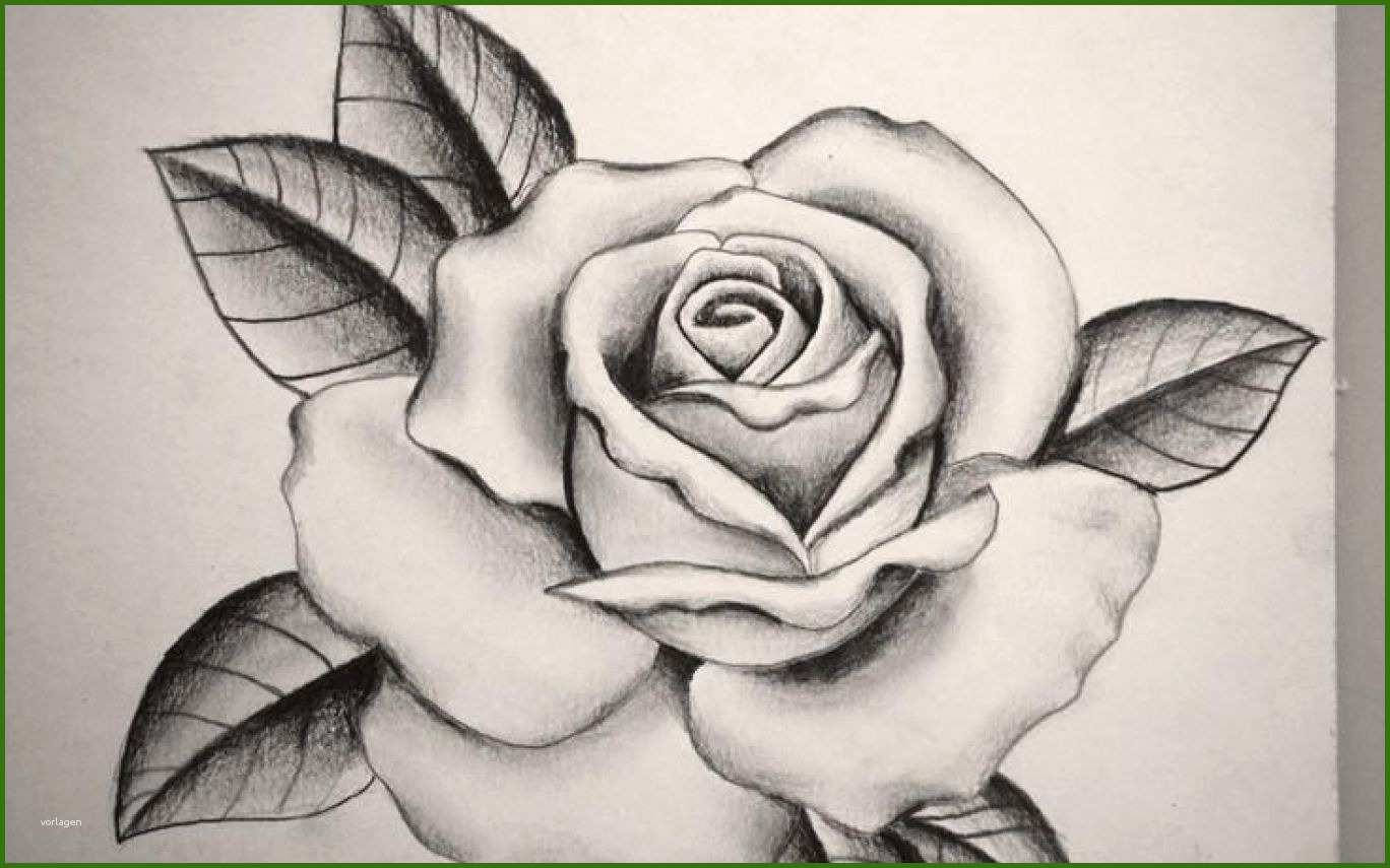 Limitierte Auflage Tattoo Rose Vorlage Blumenranken Tattoo 20 Sch Ne