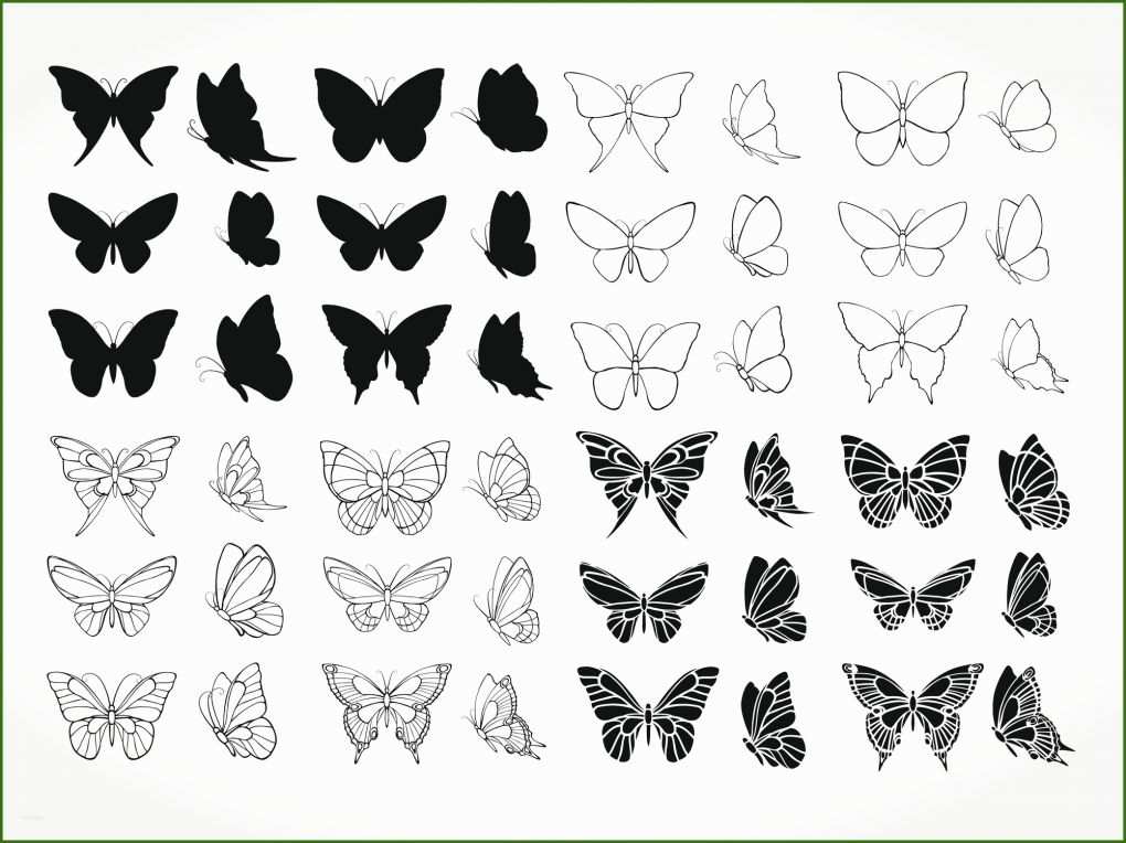 Beste Schmetterling Tattoo Liste Mit 11 Bedeutungen Vorlage Ideen für