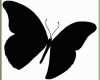 Moderne Schmetterling Vorlage Zum Ausdrucken 937x795
