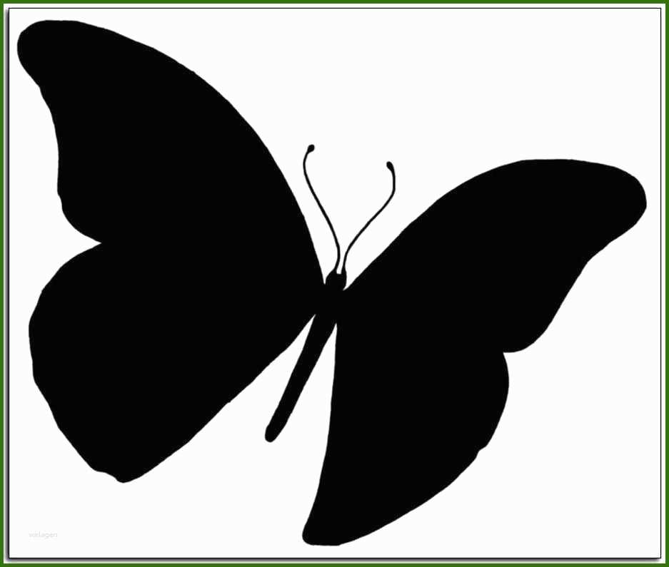 Moderne Schmetterling Vorlage Zum Ausdrucken 937x795