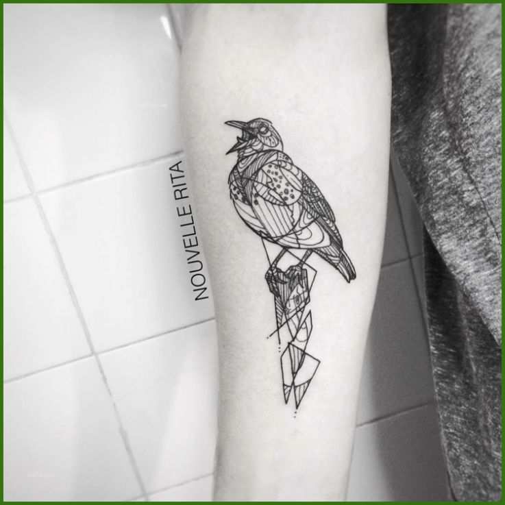13 Beste Vogel Tattoo Vorlage Sie Kennen Müssen