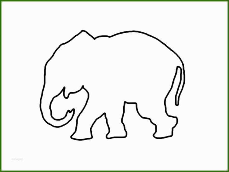Ideal Elefant Vorlage Ausschneiden 800x600