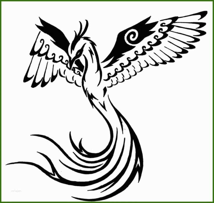 13 Beste Vogel Tattoo Vorlage Sie Kennen Müssen