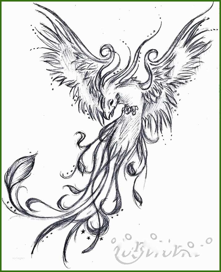 Fabelhaft Die 25 Besten Ideen Zu Vogel Phönix Tattoos Auf Pinterest