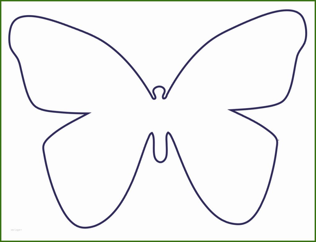 Modisch Schmetterling Vorlage Zum Ausdrucken 1166x895
