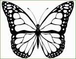 Singular Schmetterling Vorlage Zum Ausdrucken 1600x1240
