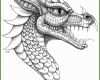Ausnahmsweise Drachen Vorlage Zum Ausdrucken 736x846