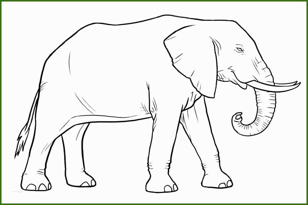 Neue Version Elefanten Malvorlagen Kostenlos Zum Ausdrucken - Vorlage