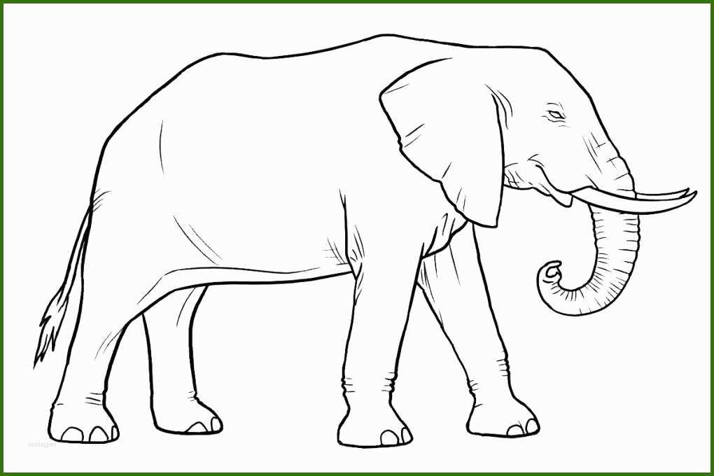 neue version elefanten malvorlagen kostenlos zum