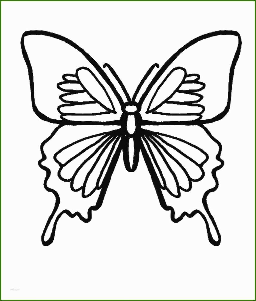 Schockierend Schmetterling Vorlage Zum Ausdrucken 1024x1203